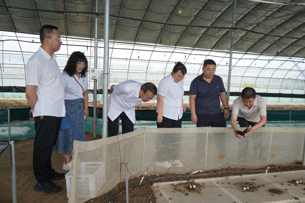 E:\办公\党建\马院二支部\三会一课安排\甘肃畜牧工程学院党建活动\甘肃畜牧工程学院党建活动\DSC04360.JPG