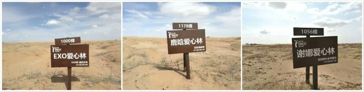 97c02e5ec4804f3399ce56734fa5d2e3.Jpeg
