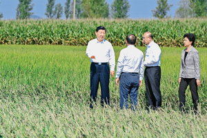 切实加强耕地保护 抓好盐碱地综合改造利用